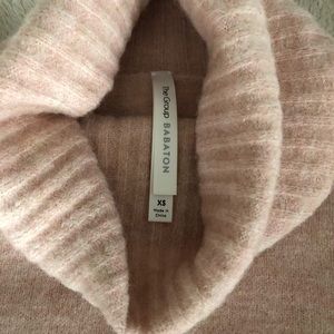 Aritzia Plutarch Turtleneck